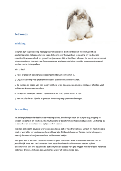 Het konijn - Dierenkliniek de Eendracht Tholen