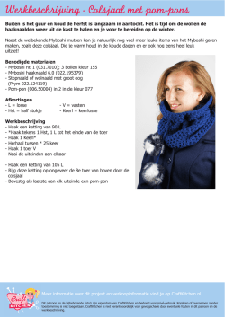 Werkbeschrijving Colsjaal (PDF).