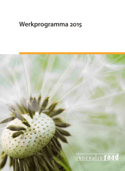 Werkprogramma 2015 Onderwijsraad(PDF)