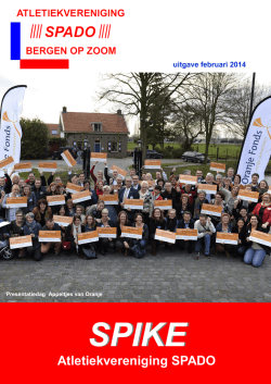 Download this publication as PDF