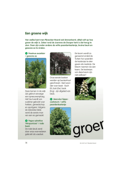 Een groene ijk - Wijkvereniging Pijnacker