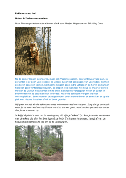 Eekhoorns op hol! - Zebrarups Natuureducatie