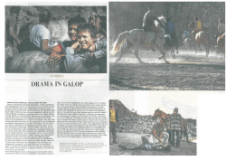 DRAMA nv GALOP