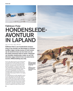 Hondenslede- avontuur in laPland