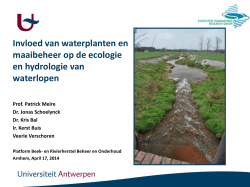 Invloed van waterplanten en maaibeheer op de ecologie en