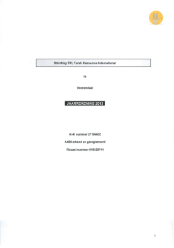 JAARREKENING 2013 - Goudvink Advies