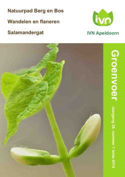 Groenvoer - Apeldoorn