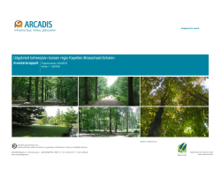 Uitgebreid beheerplan bossen regio Kapellen-Brasschaat