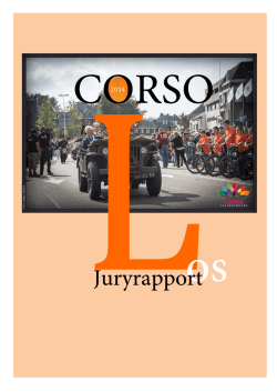 Juryrapport