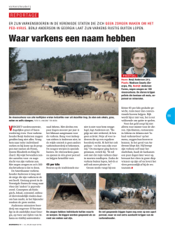Download de PDF van dit artikel