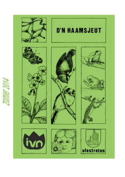Haamsjeut zomer 2014 website opm
