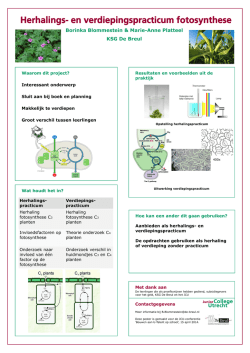 Herhalings- en verdiepingspracticum fotosynthese