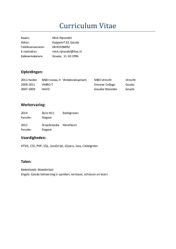 download cv - MRijneveld