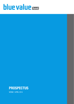 PROSPECTUS - Blue Value Fund