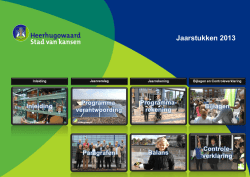 Jaarstukken 2013 inc. controleverklaring