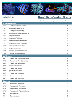 29/12/2014 - ReeffishCenter