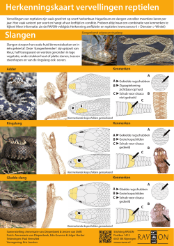 Herkenningskaart vervellingshuiden reptielen