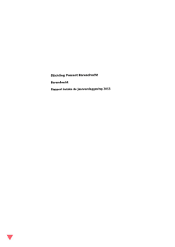 Download de jaarrekening 2013