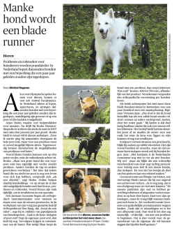 Protheses en rolstoelen voor huisdieren