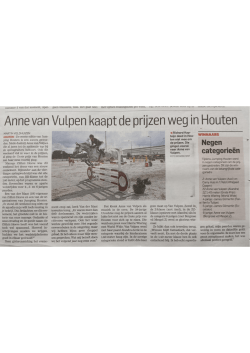 Jumping Houten