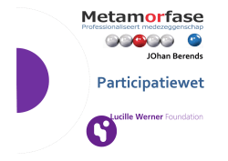 Participatiewet - Inzet op maat