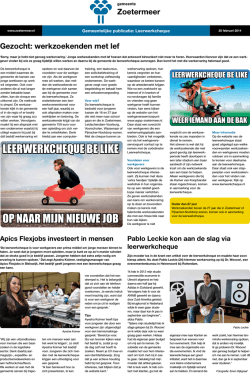 LEERWERKCHEQUE BE LIKE OP NAAR MIJN NIEUWE JOB