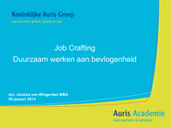 Job Crafting Duurzaam werken aan bevlogenheid