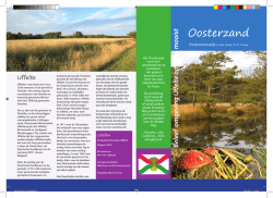 dorpsommetje Ooosterzand