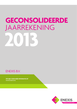 Enexis Annual Report 2013