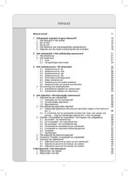 DOE wat met grammatica opmaak_2013.indd