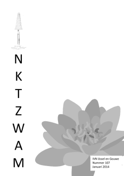 Inktzwam 107