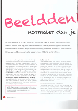 Download het artikel