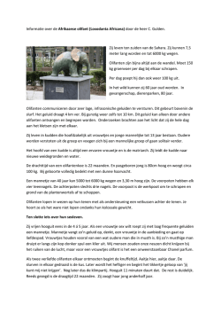 Informatie over de Afrikaanse olifant (Loxodanta