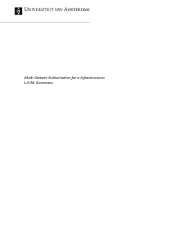 Multi-Domain Authorization for e-Infrastructures L.H.M. Gommans