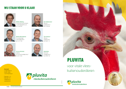 Brochure Pluvita - voor vitale vleeskuikenouderdieren