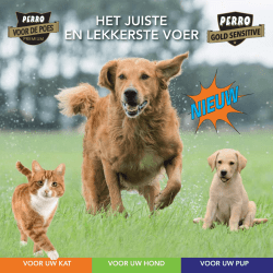 Folder Perro-Gold voor Hond en Kat