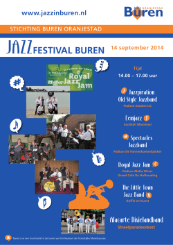 Poster - Jazz in Buren 2014 (1,7Mb PDF)
