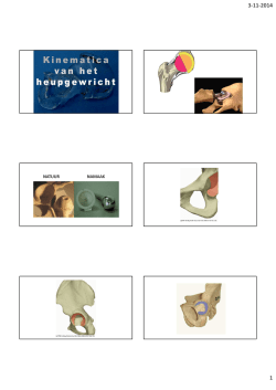 Downloaden - DAM Cursus