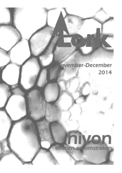November-December 2014 emmen en omstreken