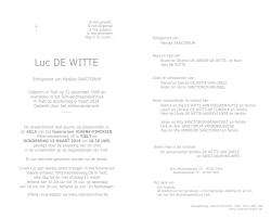 Luc De Witte