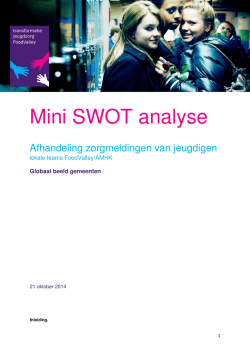 Globaal beeld gemeenten mini SWOT
