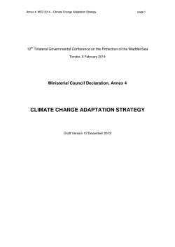 CLIMATE CHANGE ADAPTATION STRATEGY