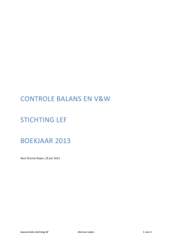Controle balans en VW Stichting LEF boekjaar 2013