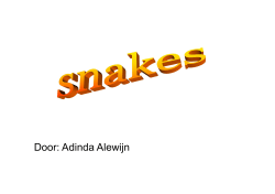 Snakes - Welzijn Leusden