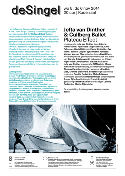 Programmaflyer