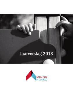 Jaarverslag 2013 - Minor