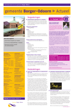 Wiwu 41_2014.indd - Gemeente Borger