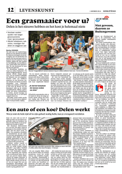 Een grasmaaier voor u?