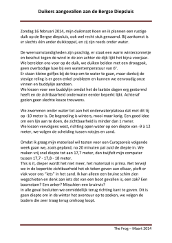 Duikers aangevallen aan de Bergse Diepsluis