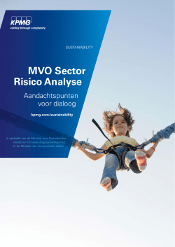 "MVO Sector Risico Analyse" PDF document | 100